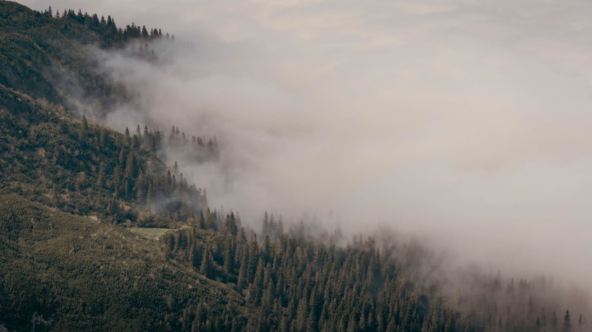 Carpathian mountain setting