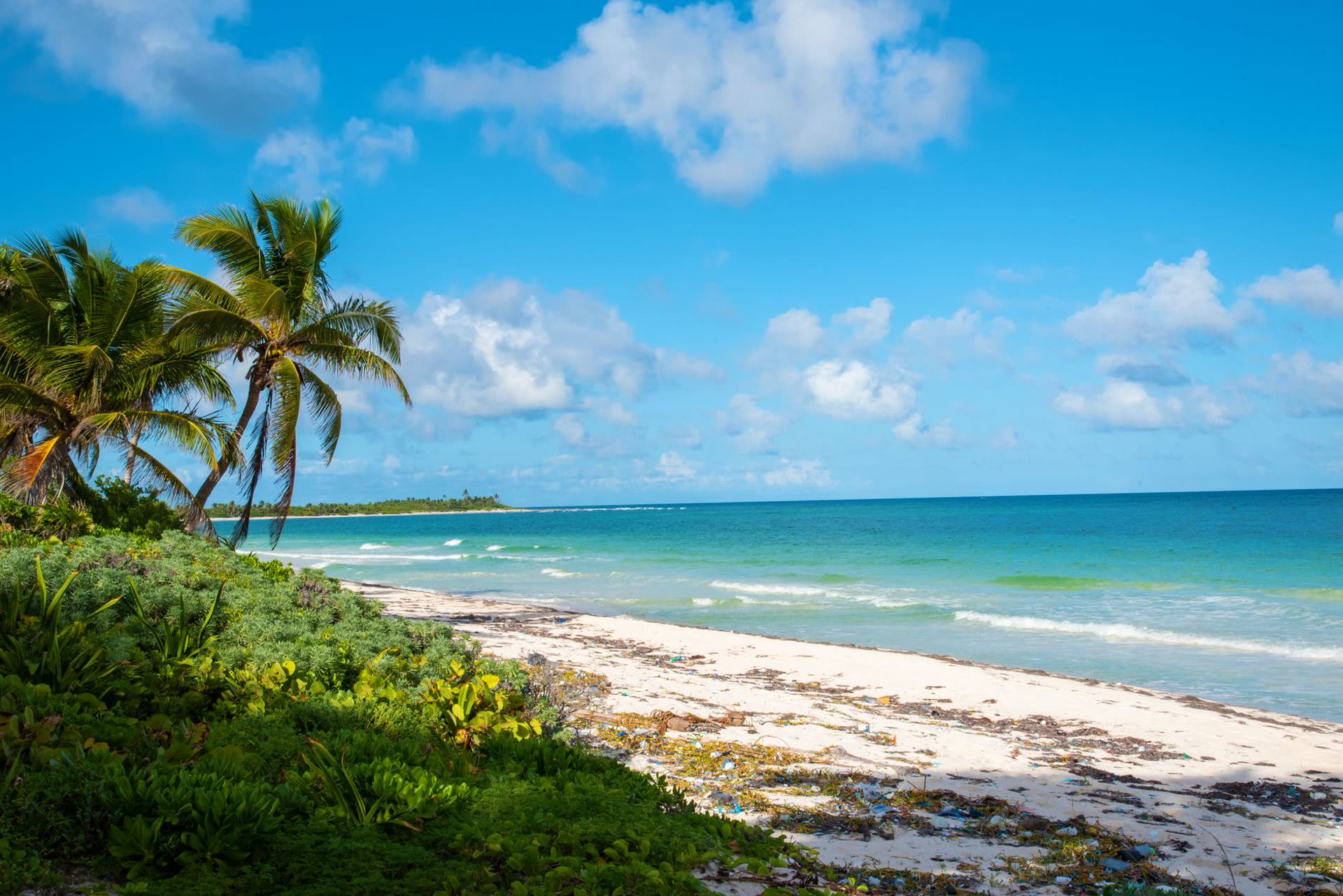 Riviera Maya coastline